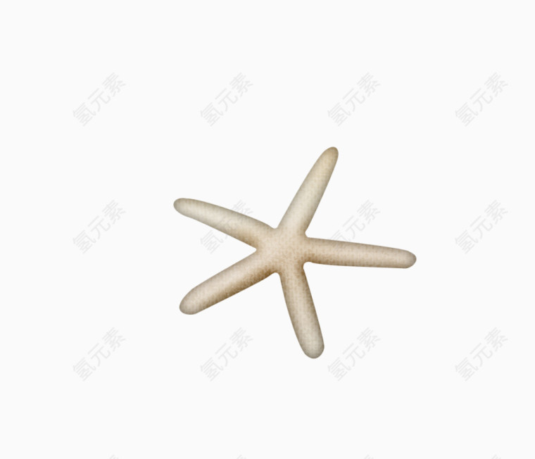 简单海星装饰