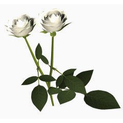 卡通装饰素材花卉线描