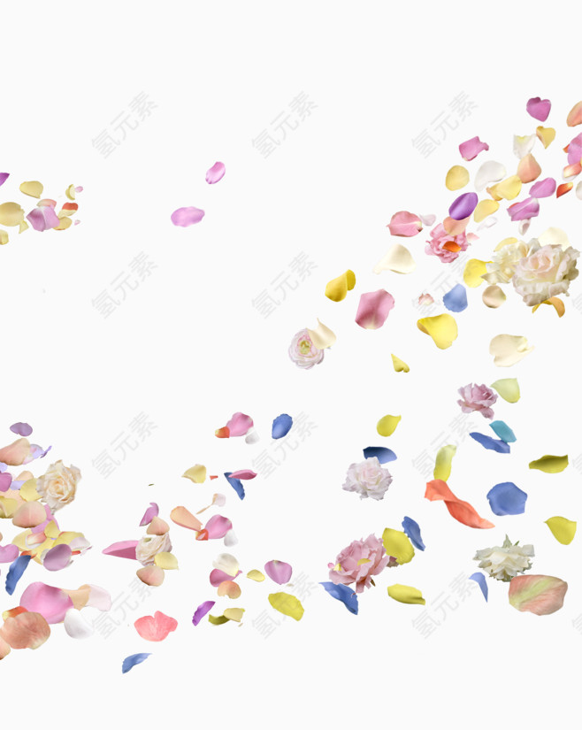 五彩落花花瓣