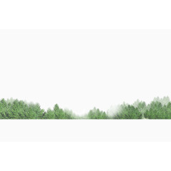 美丽的绿色草丛