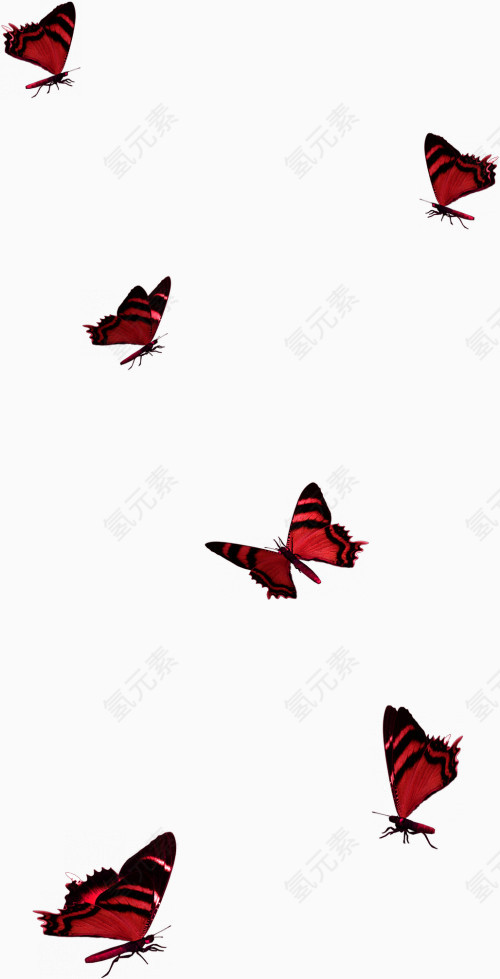 蝴蝶漂浮点缀