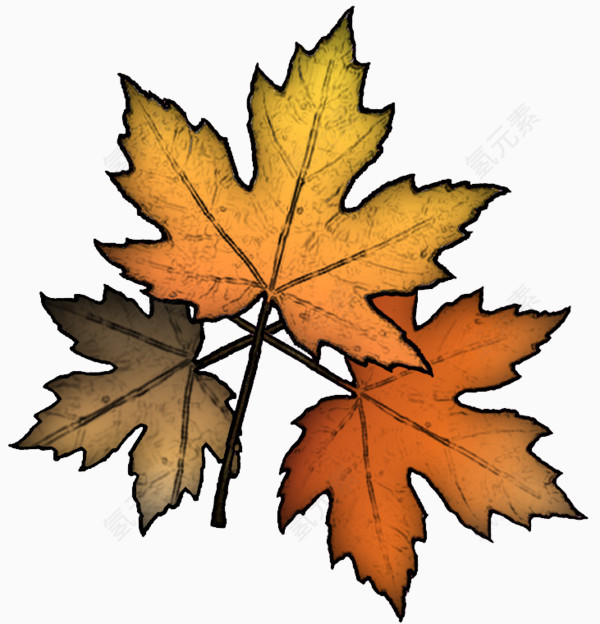 卡通金黄色枫叶免扣素材
