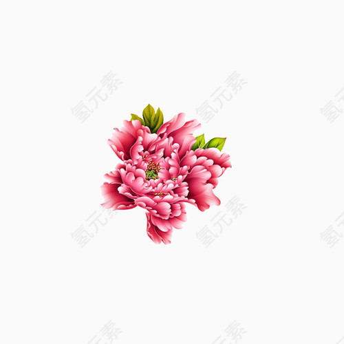 花朵素材