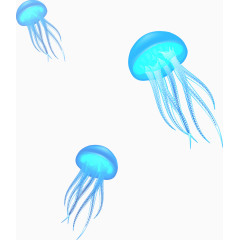 蓝色的水母