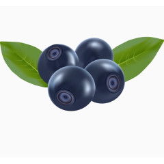 精美水果设计矢量图