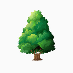 郁郁葱葱的大树