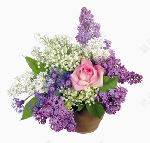 花草图案线描花草