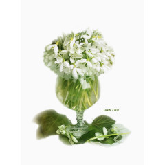 花草素材鲜花花草