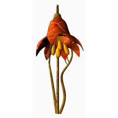 童话世界的大花朵