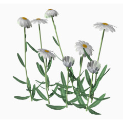 花卉素材手绘装饰图片