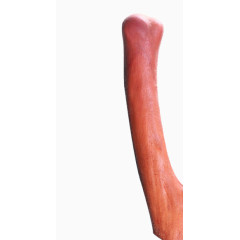 鹿茸入药药用新鲜鹿茸