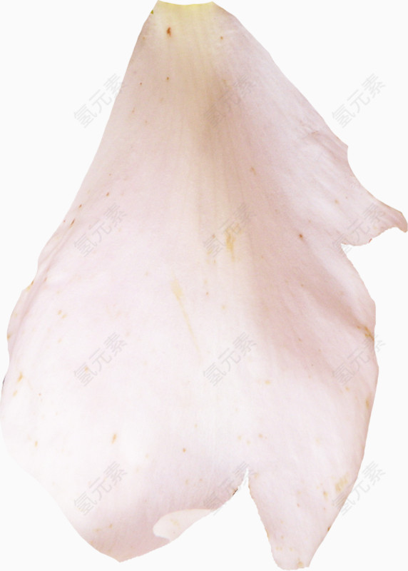 桃花花瓣