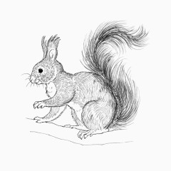 树松动物服装图案