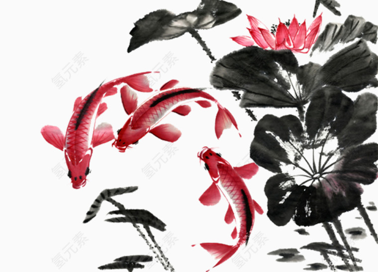 鱼荷花
