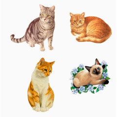 可爱卡通小猫集合元素 
