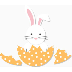 从蛋壳里出来的白兔