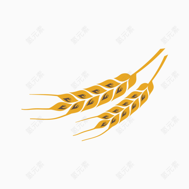 麦穗