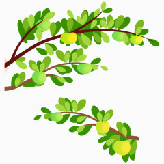 卡通植物夏季果树树叶