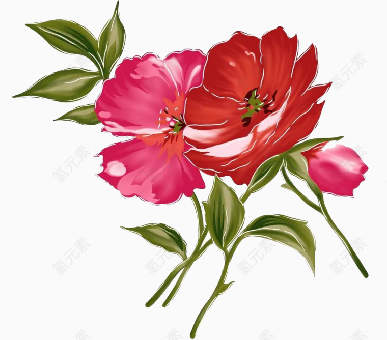 手绘花插画