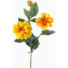 手绘卡通装饰图片