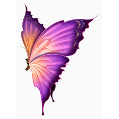 卡通梦幻紫色蝴蝶