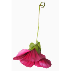 庆典花草手绘花卉素材