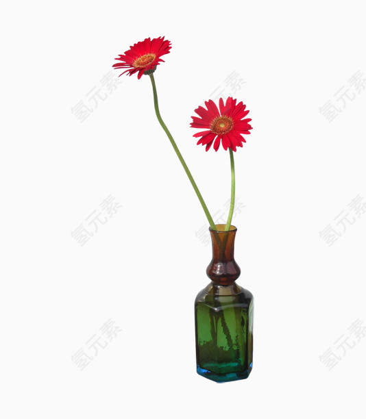 金盏花插花