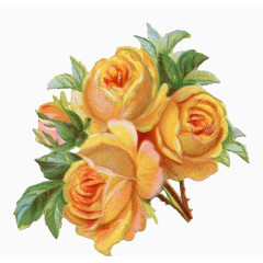 简约旧插画花鲜花玫瑰花