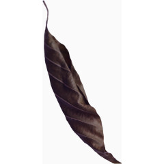 树叶背景图片树叶飘落图片素材