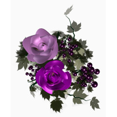 线描花草花草图片素材