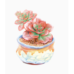 粉红色彩绘多肉瓷盆器装饰