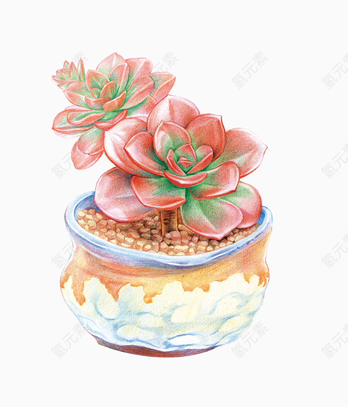 粉红色彩绘多肉瓷盆器装饰