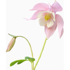 卡通装饰图片田园风风格