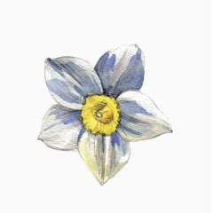 手绘花朵立体花朵