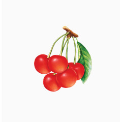 樱桃水果