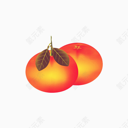 橘子