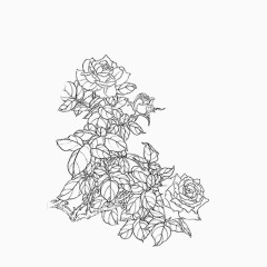 手绘黑色线条菊花图案