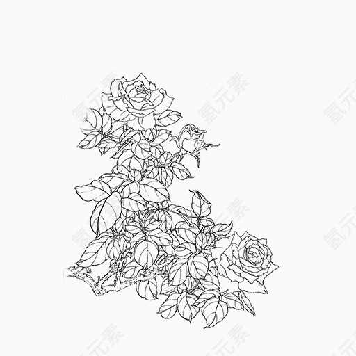 手绘黑色线条菊花图案