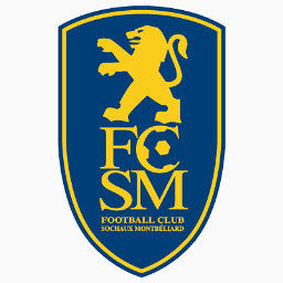 足球俱乐部索肖厚床单French-Football-Club