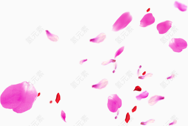 玫瑰花瓣