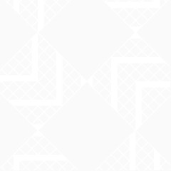 手绘插画图纹少数民族服装纹理菱角纹理白色