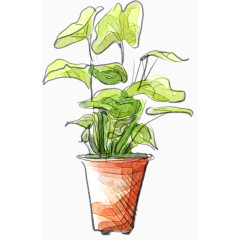 卡通盆栽植物治愈系