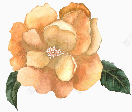花草装饰素材