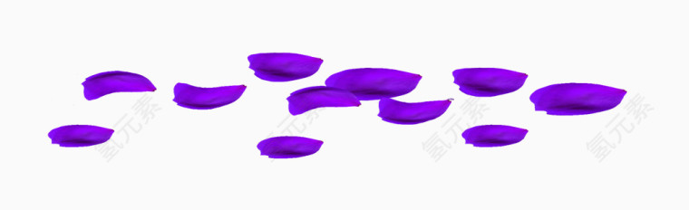 深紫色花瓣PNG