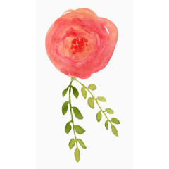 植物水彩画