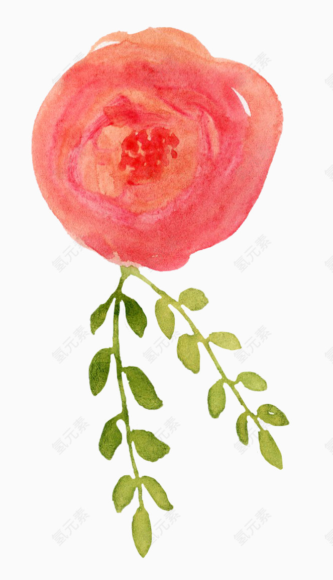 植物水彩画