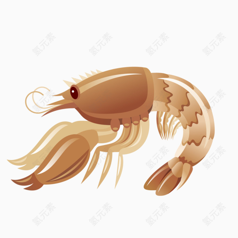 海洋动物