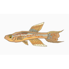 卡通热带鱼黄色