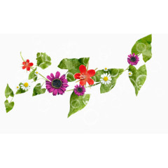 唯美花草图片花卉图片