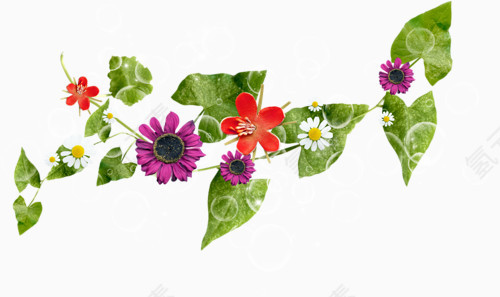 唯美花草图片花卉图片